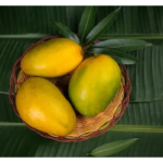 Imam Pasand / Himayat Mango